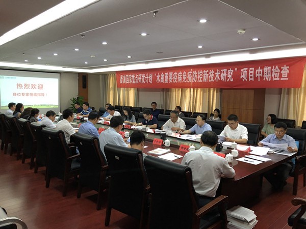 1568461673364083423.jpg 11.jpg