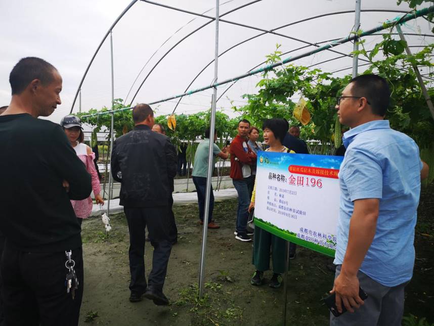 1568701890430015824.jpg 1568701890430015824.jpg