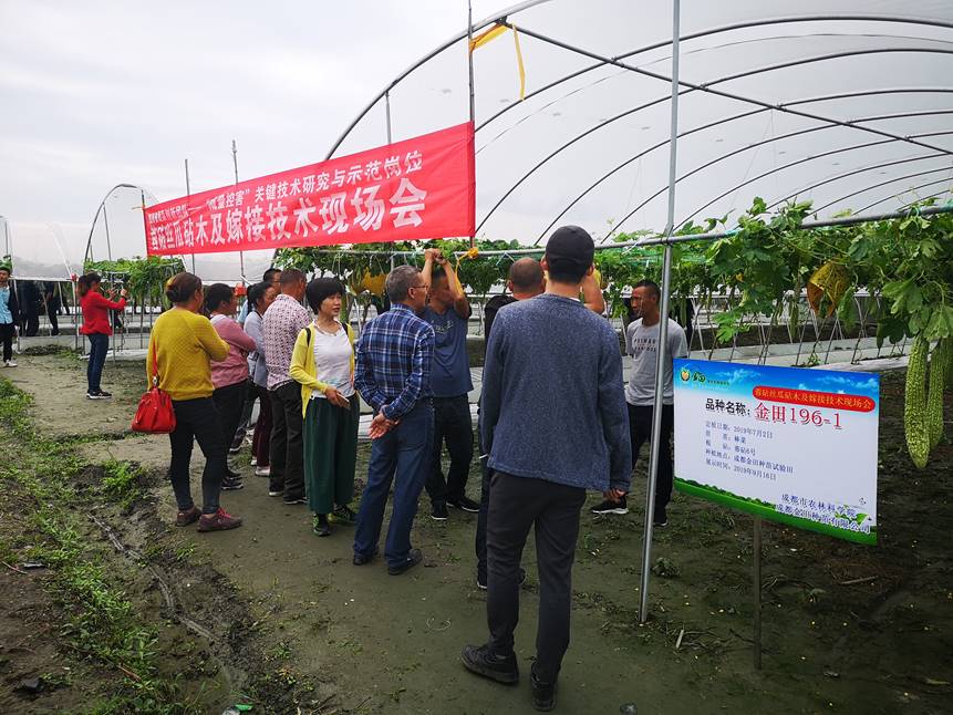 1568701890432017604.jpg 1568701890432017604.jpg