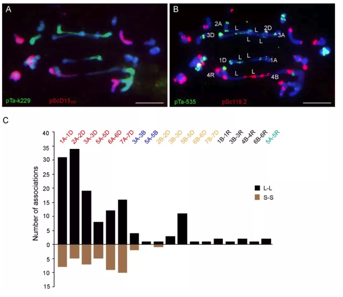 5596225FBD83724AC57C9A6F9FF_F9737063_31D66 (1).png