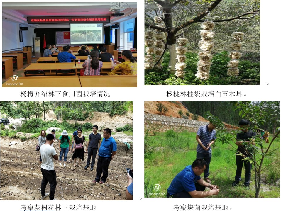 1571843796032060525.jpg 1571843796032060525.jpg