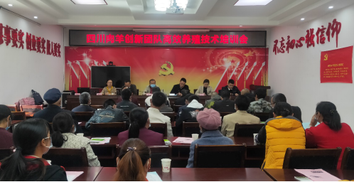 1587114018722097329.png 肖龙-农区良种繁育与示范推广岗位第3篇556.png