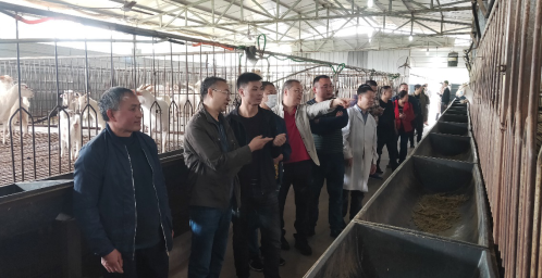 1587114024456086693.png 肖龙-农区良种繁育与示范推广岗位第3篇558.png