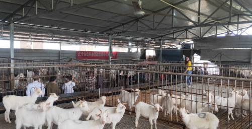 1587114035521061607.png 肖龙-农区良种繁育与示范推广岗位第3篇560.png