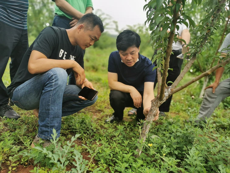 1592655074204002648.png a42d093f845728475102c65feef7be3.png