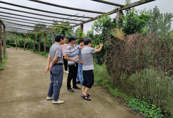 1593657595124056909.png 8ad812d84b51ad5d36f1e11c4119d42.png