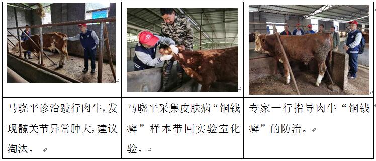 QQ截图20200724092400.jpg