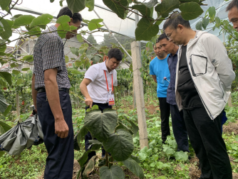 1596712354921069428.png 454e992b0fdad928770fc24fc9f8fa7.png