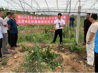 1596712357056096232.png 27982324c2da57ed67284388ae68cf6.png