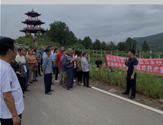 1596712365211087801.png 2f62c2745291990f020b2b6625e429d.png