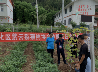 1596712367208057244.png b77fb2fda10f804ae1552af10606158.png