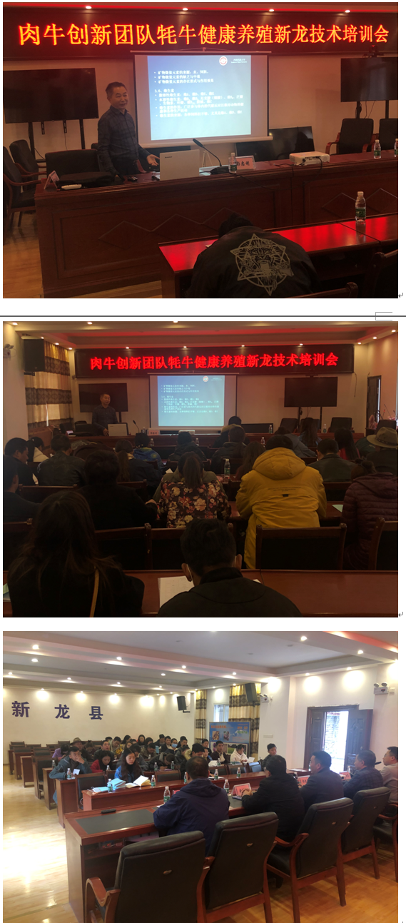 QQ截图20201101232855.png