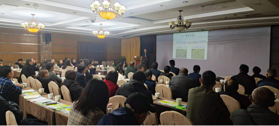 1605691324336046053.png 2020创新团队牧草岗位第4期362.png