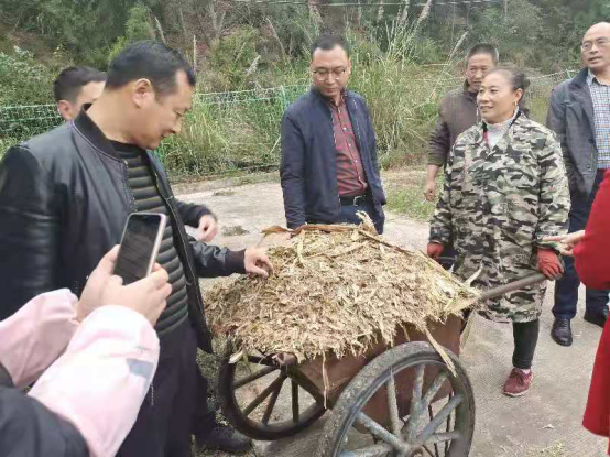 1605691356515042854.png 2020创新团队牧草岗位第4期364.png