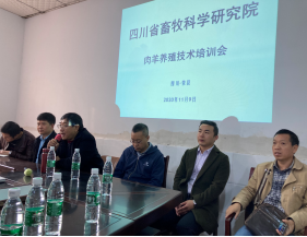 11-10 四川肉羊创新团队组织专家赴荣县开展技术培训287.png