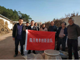 9  饲料与营养高效利用团队到凉山州会东县开展技术服务 11.16821.png