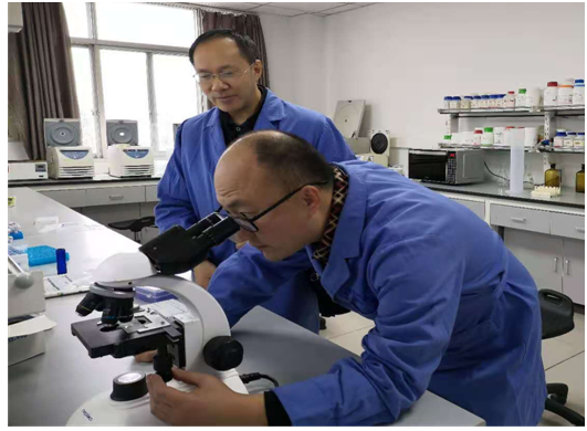 1605767198889000621.png 2.png