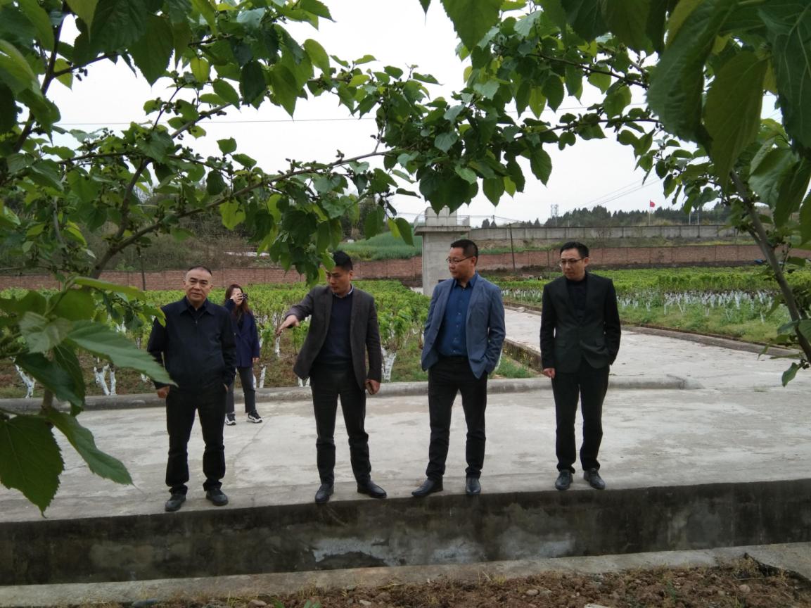 1617242775136007180.jpg 1617242775136007180.jpg