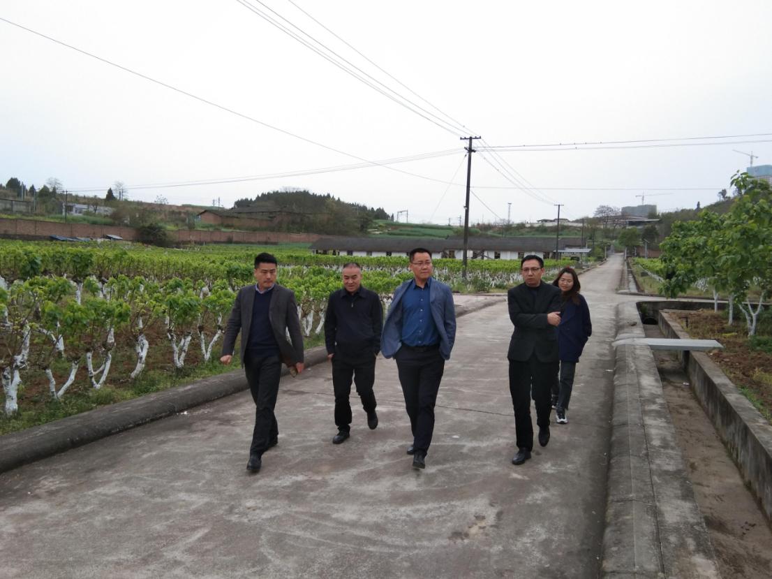 1617242836314035212.jpg 1617242836314035212.jpg