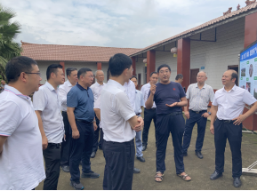 9-1 省政协副主席刘成鸣到省畜科院羊科研基地调研425.png