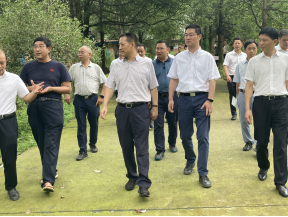 9-1 省政协副主席刘成鸣到省畜科院羊科研基地调研426.png