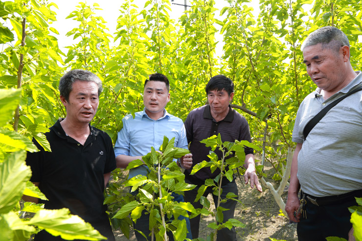 1648174399523022426.jpg 图片2.jpg