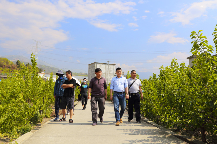 1648174416223041655.jpg 图片3.jpg