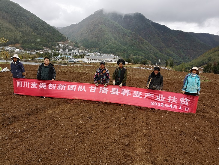 甘洛县开展荞麦产业帮扶工作2（4、22） (2).jpg