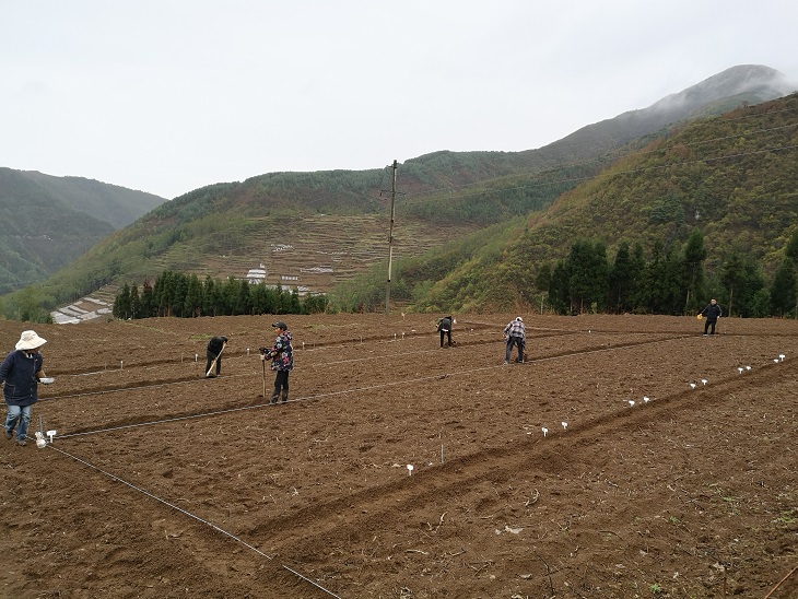 1650601486637079648.jpg 甘洛县开展荞麦产业帮扶工作2(4、22) (1).jpg