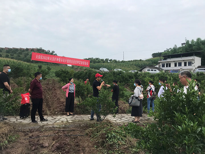 1655177827791036849.jpg 9-2.jpg