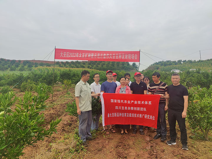 1655177838108026242.jpg 9-3.jpg