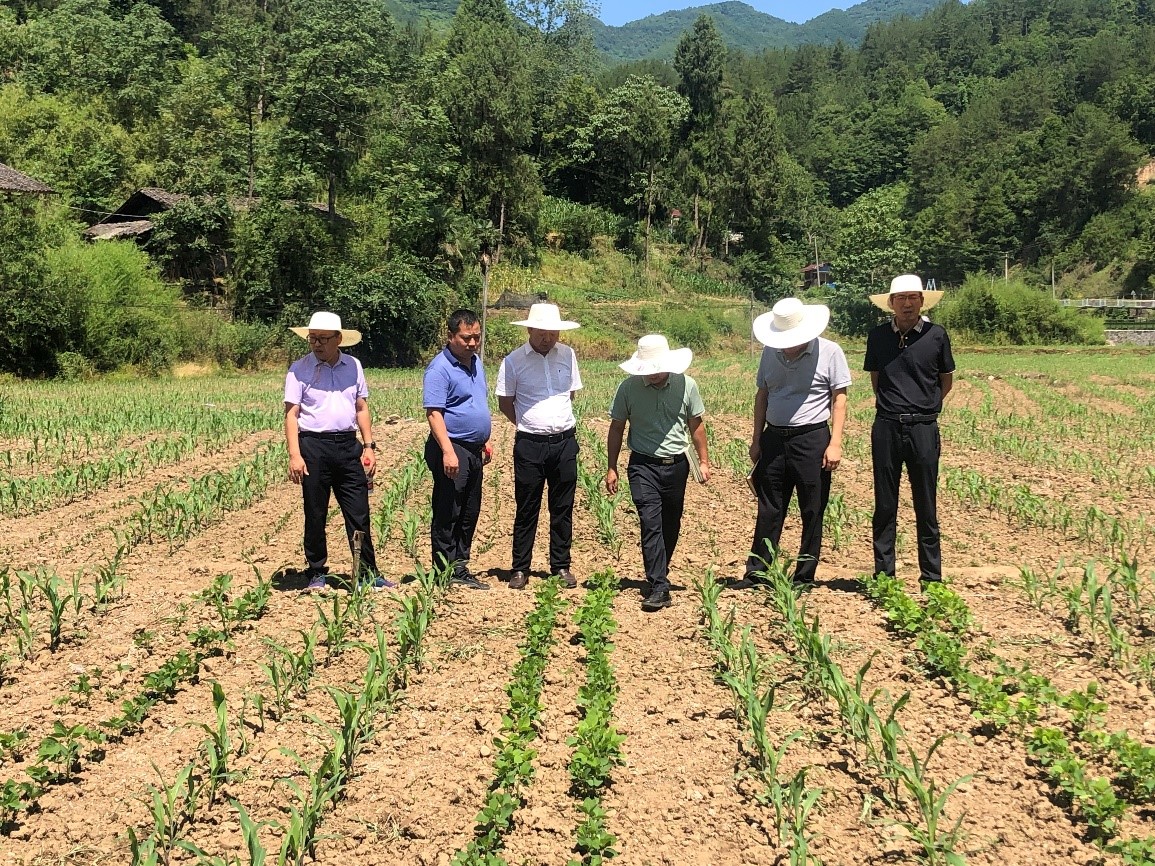 1656300562609019312.jpg 1656300562609019312.jpg