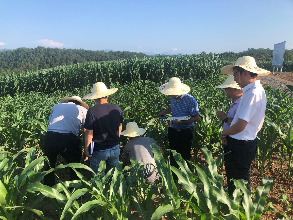 1656300573669008637.jpg 1656300573669008637.jpg