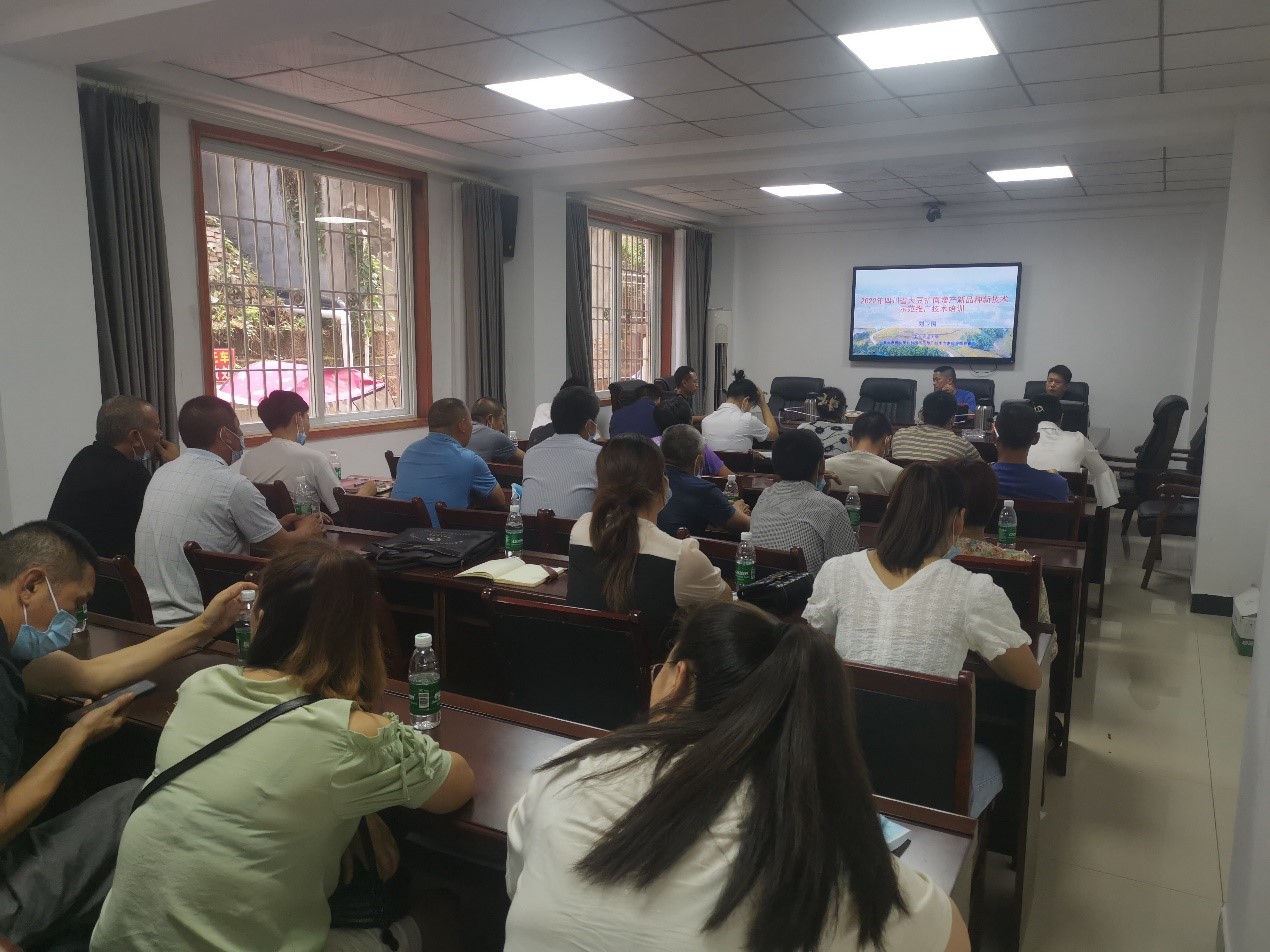 1656513891691066876.jpg 1656513891691066876.jpg