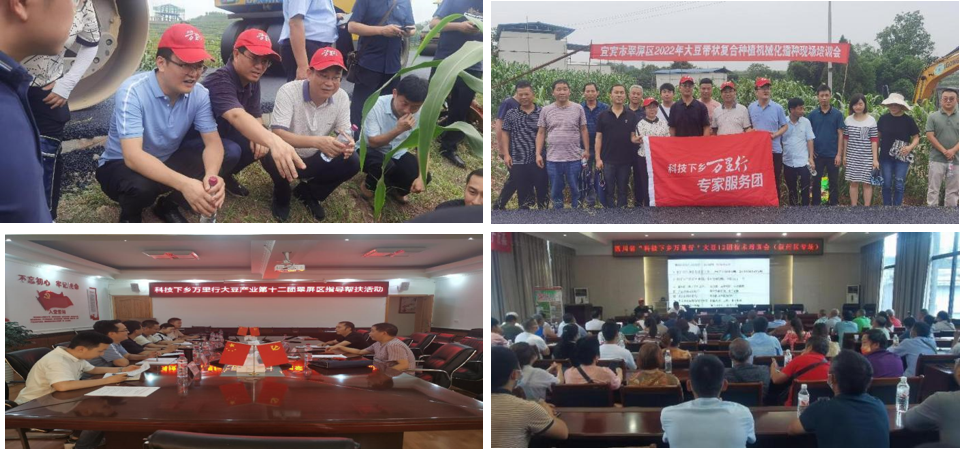 1656582469315059923.png 图片1.png