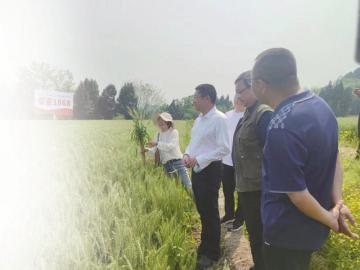 1657280042838074198.jpg 1.jpg