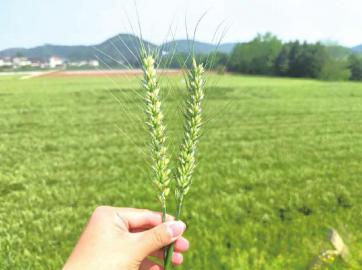 1657280052894063406.jpg 2.jpg