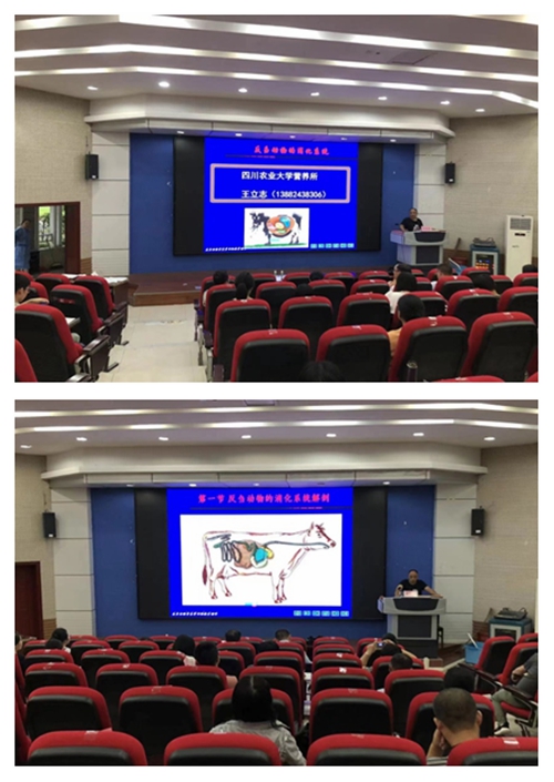 光影魔术手拼图.jpg