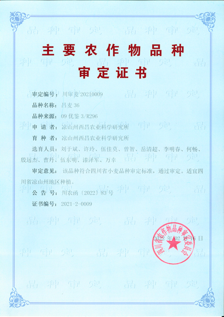 1660119006292024025.jpg 6-1.jpg