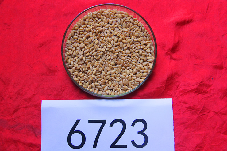 1660119108296094711.jpg 6-5.jpg