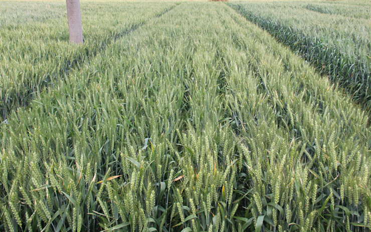 1660119131253094006.jpg 6-6.jpg