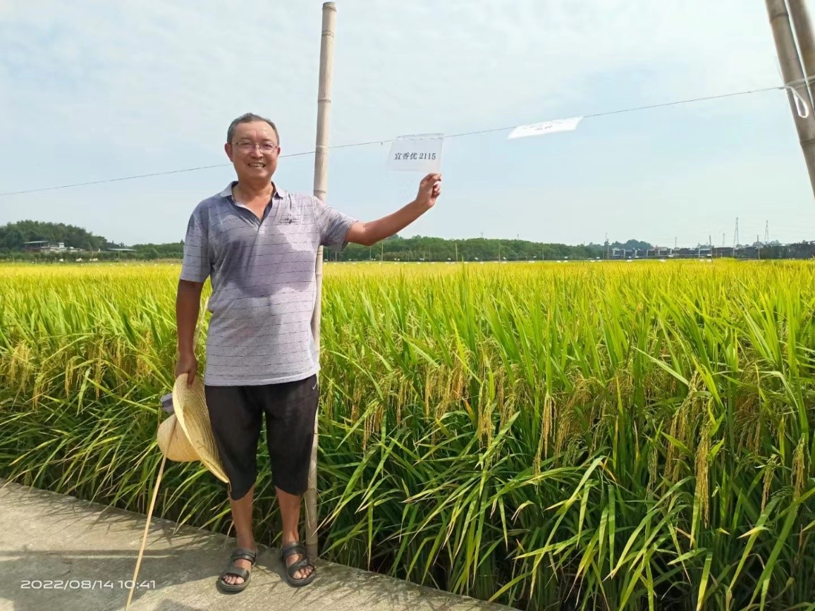 1664529759466047778.jpg 黄2.jpg