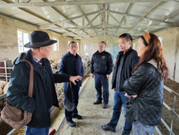 1665306769952010274.png 20220930藏区肉羊良种繁育与示范推广岗位--藏绵羊高效养殖调研及育肥生长发育测定第11期334.png