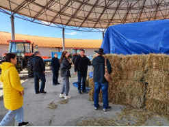 1665306773097005674.png 20220930藏区肉羊良种繁育与示范推广岗位--藏绵羊高效养殖调研及育肥生长发育测定第11期332.png