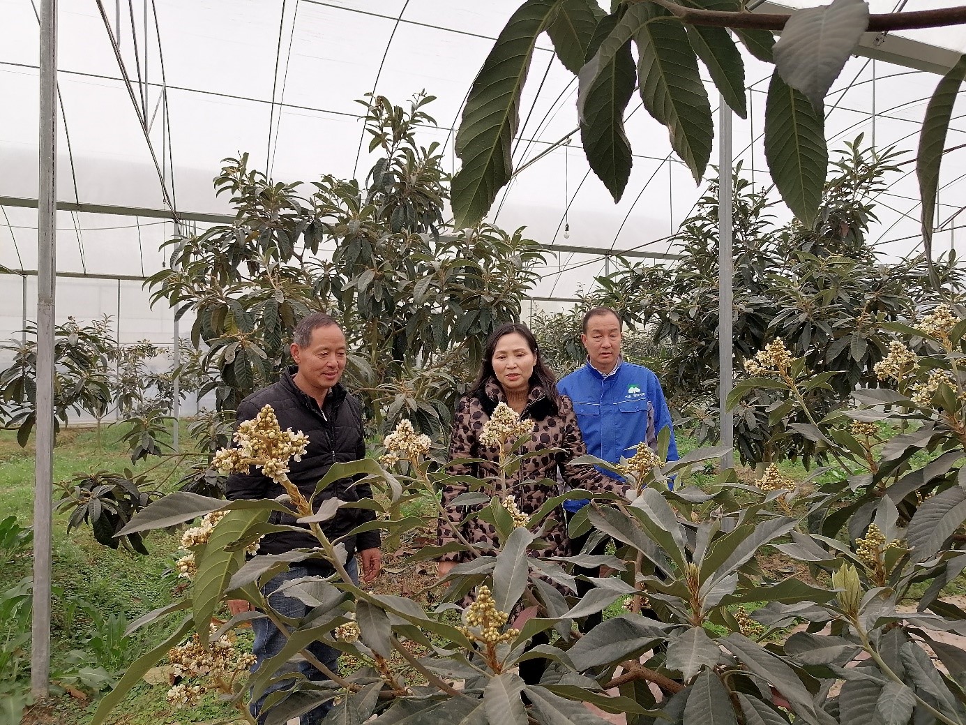 1676887861792007280.jpg 1.jpg