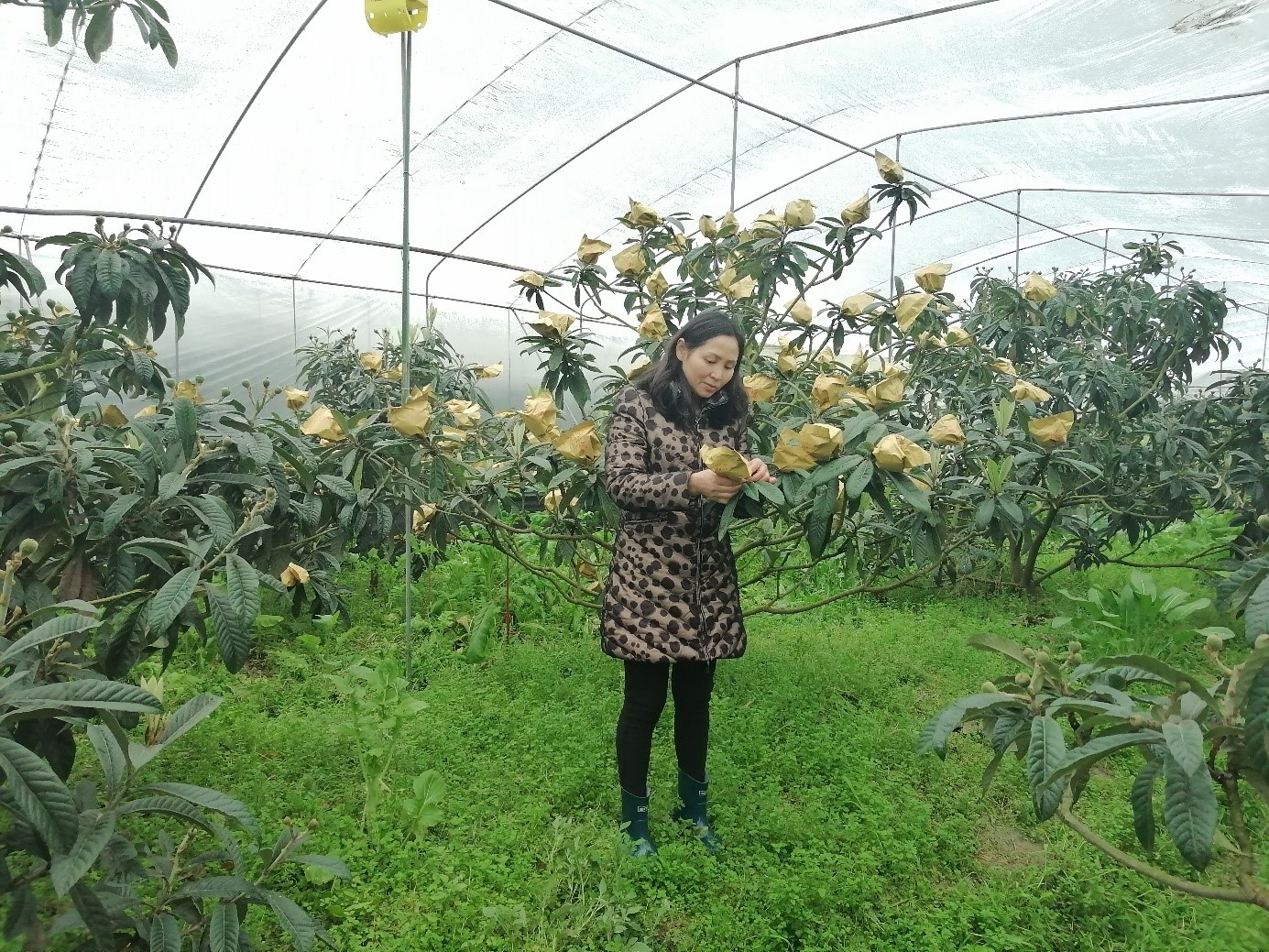 1676887873135076779.jpg 2.jpg