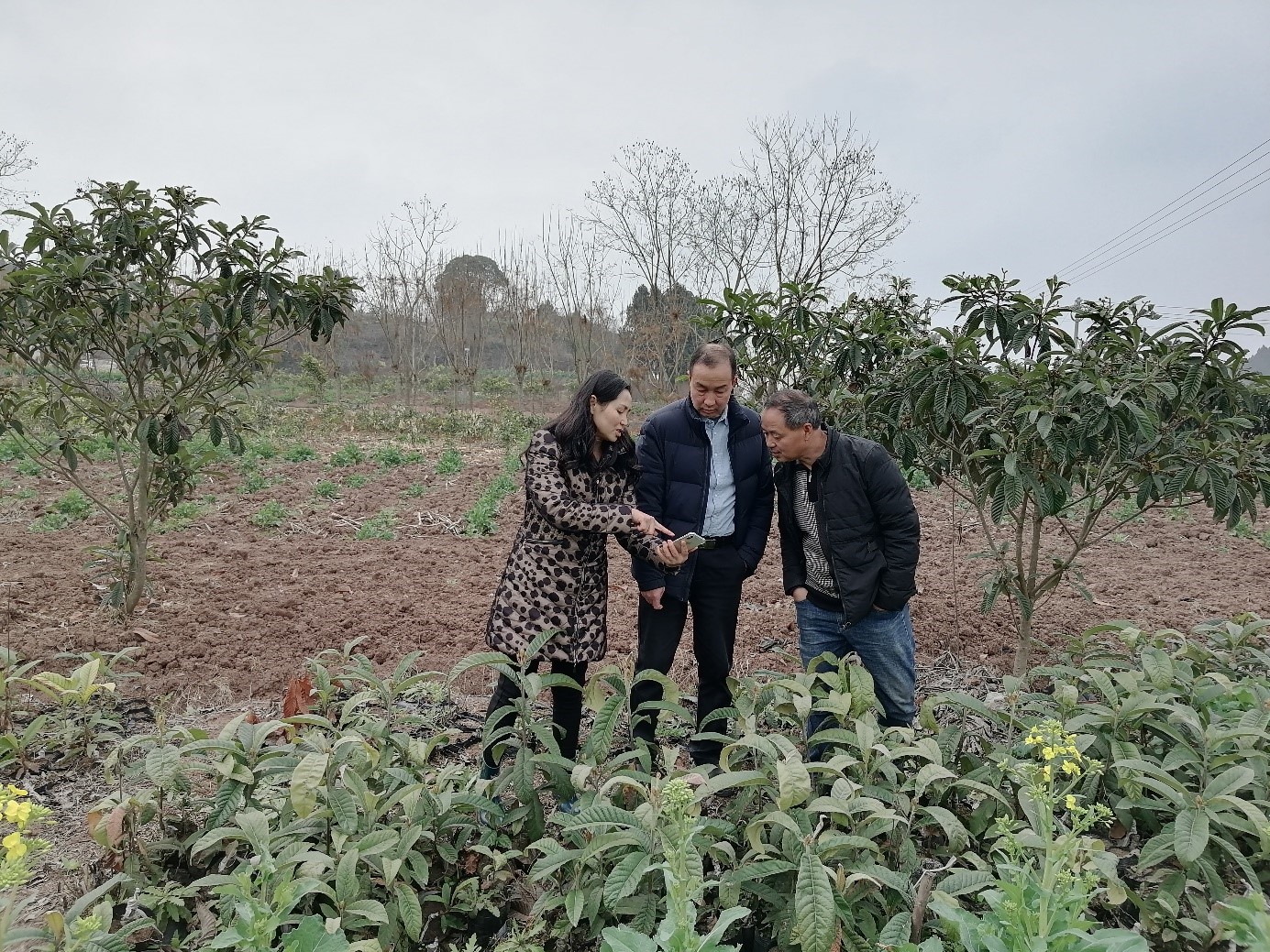 1676887882418099630.jpg 3.jpg