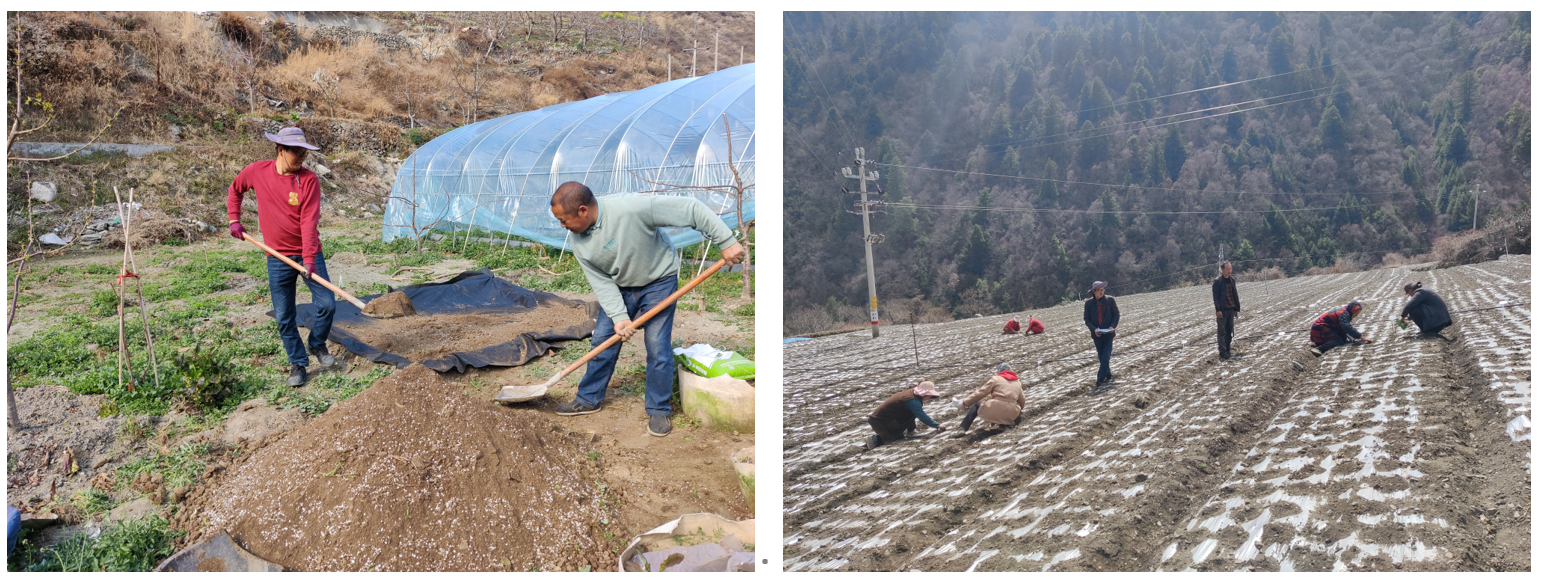 1679703623779098917.png 1679703623779098917.png