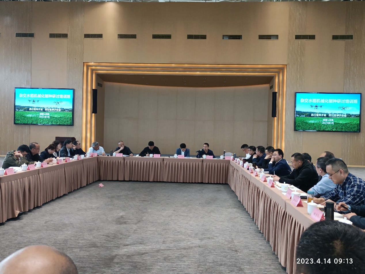 1681629234494082846.jpg 图片1.jpg