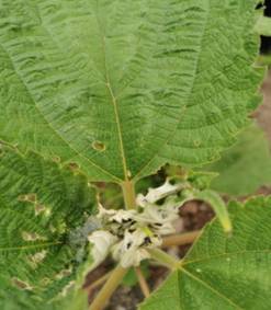 1681975328291090908.jpg image010.jpg